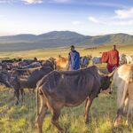 Tanzania conservation plan takes another hit as EU withdraws funding